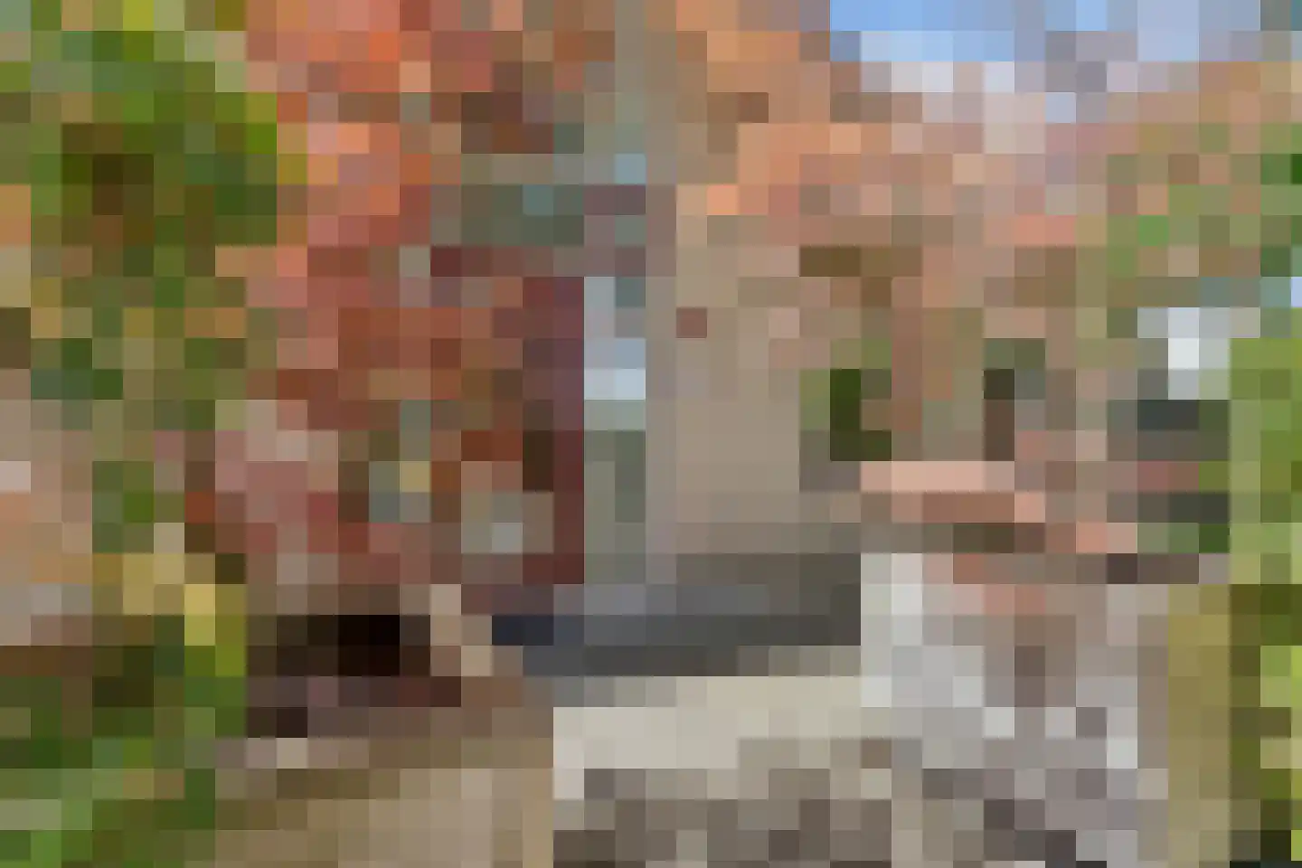 Irenelaan 74 Ede thumbnail 46
