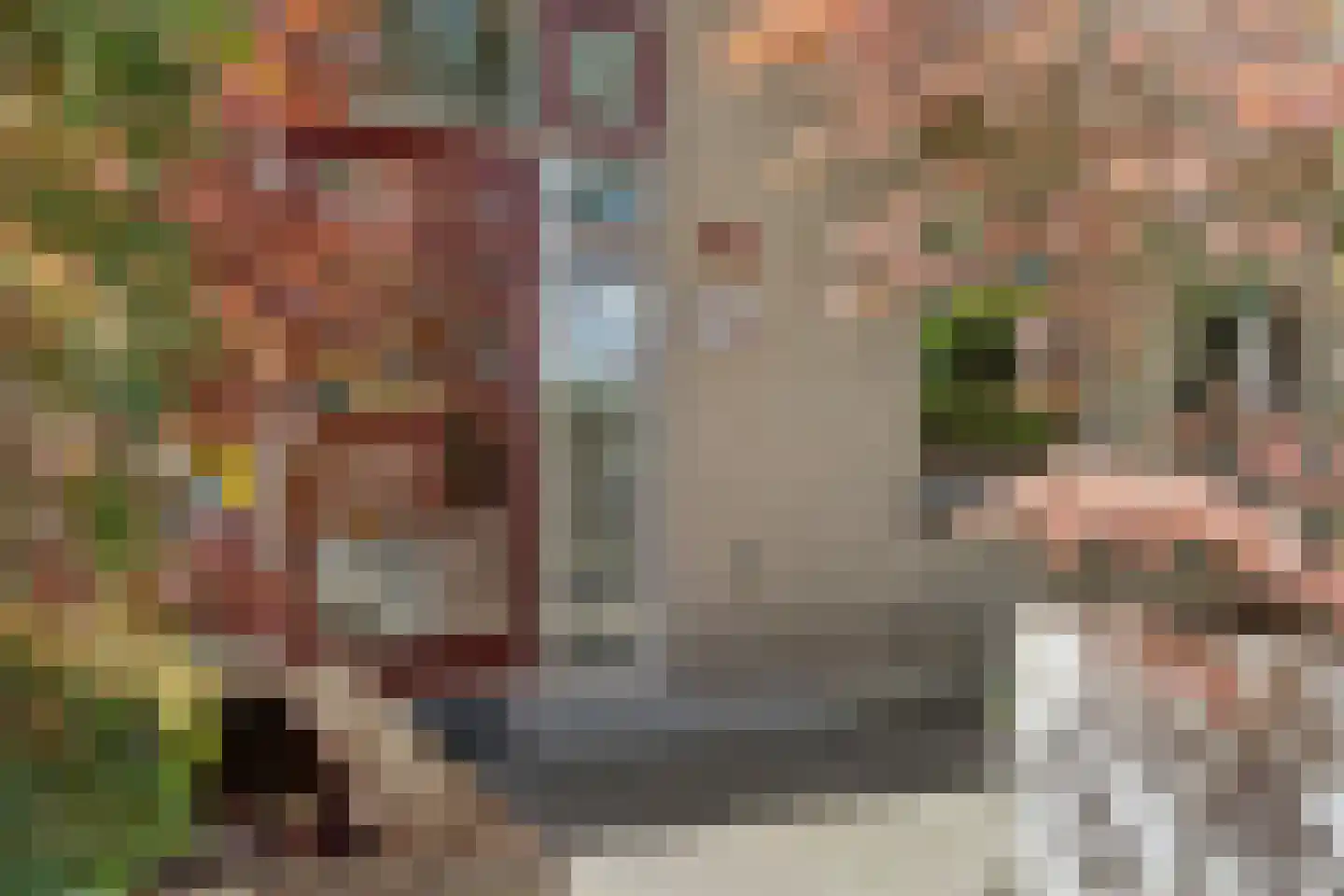 Irenelaan 74 Ede thumbnail 47