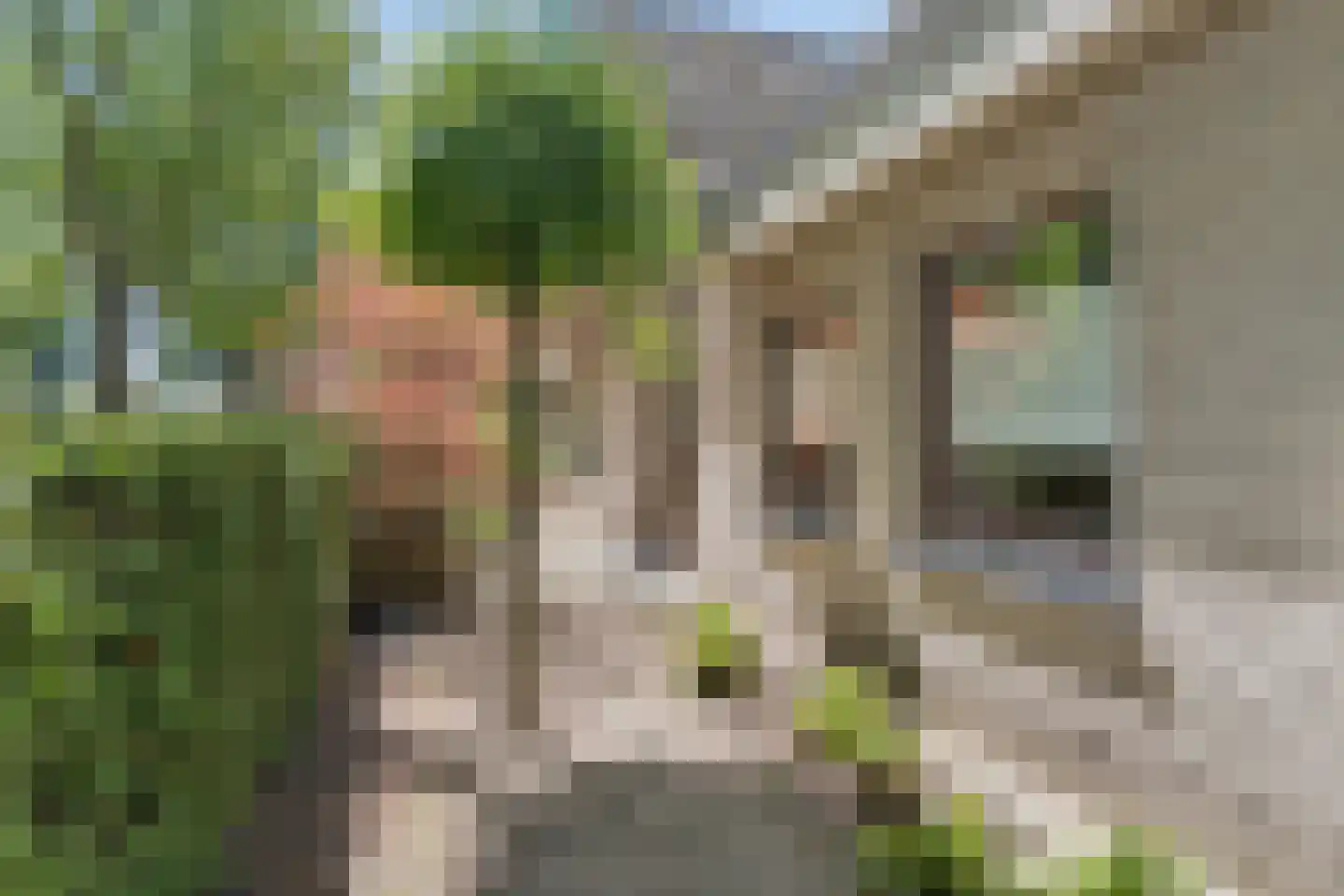 Irenelaan 74 Ede thumbnail 49