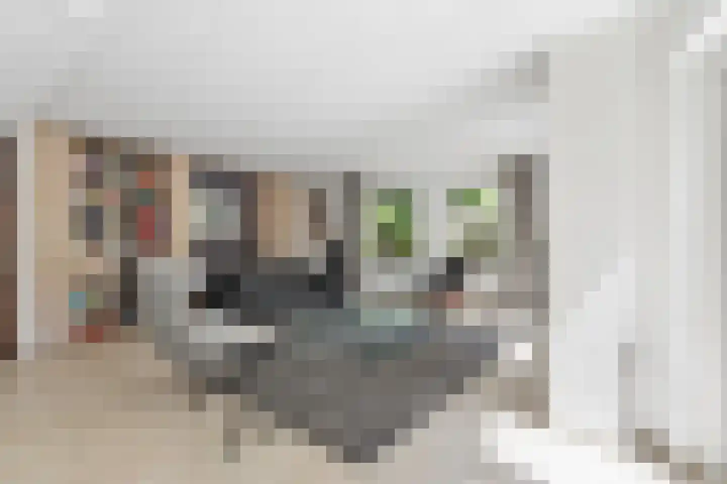 Irenelaan 74 Ede thumbnail 6
