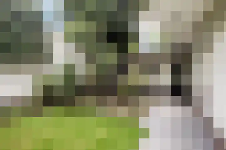 Irenelaan 82 Weert thumbnail 35