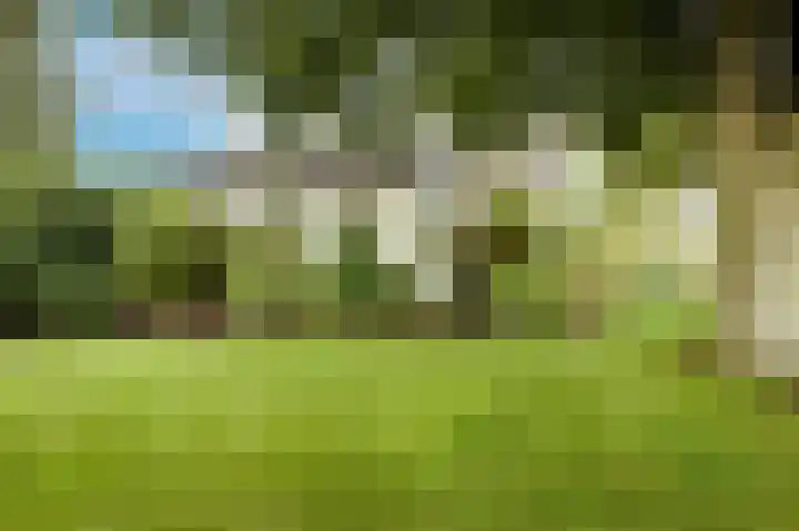 Irenelaan 82 Weert thumbnail 43