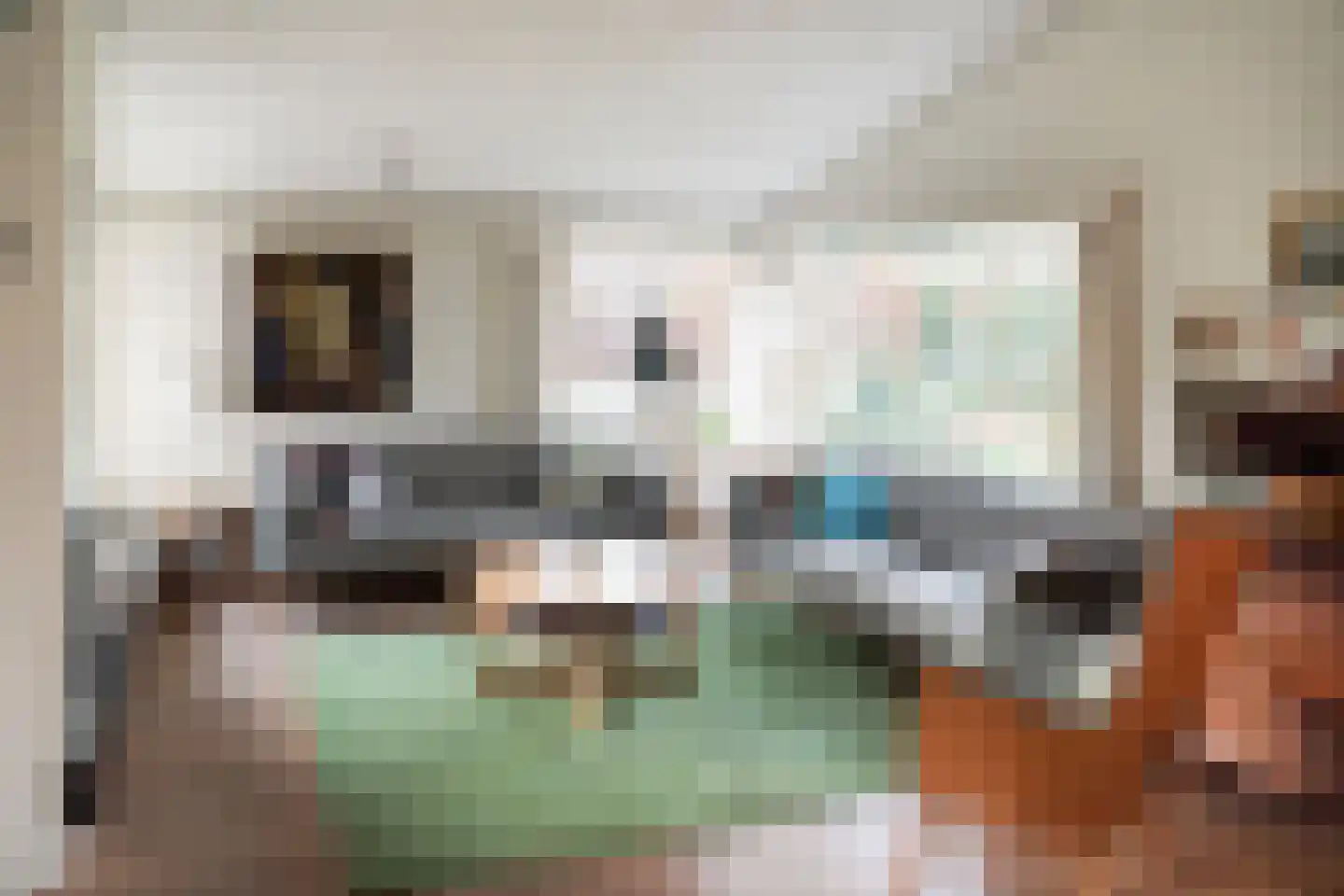 Irenelaan 9 Alkmaar thumbnail 12