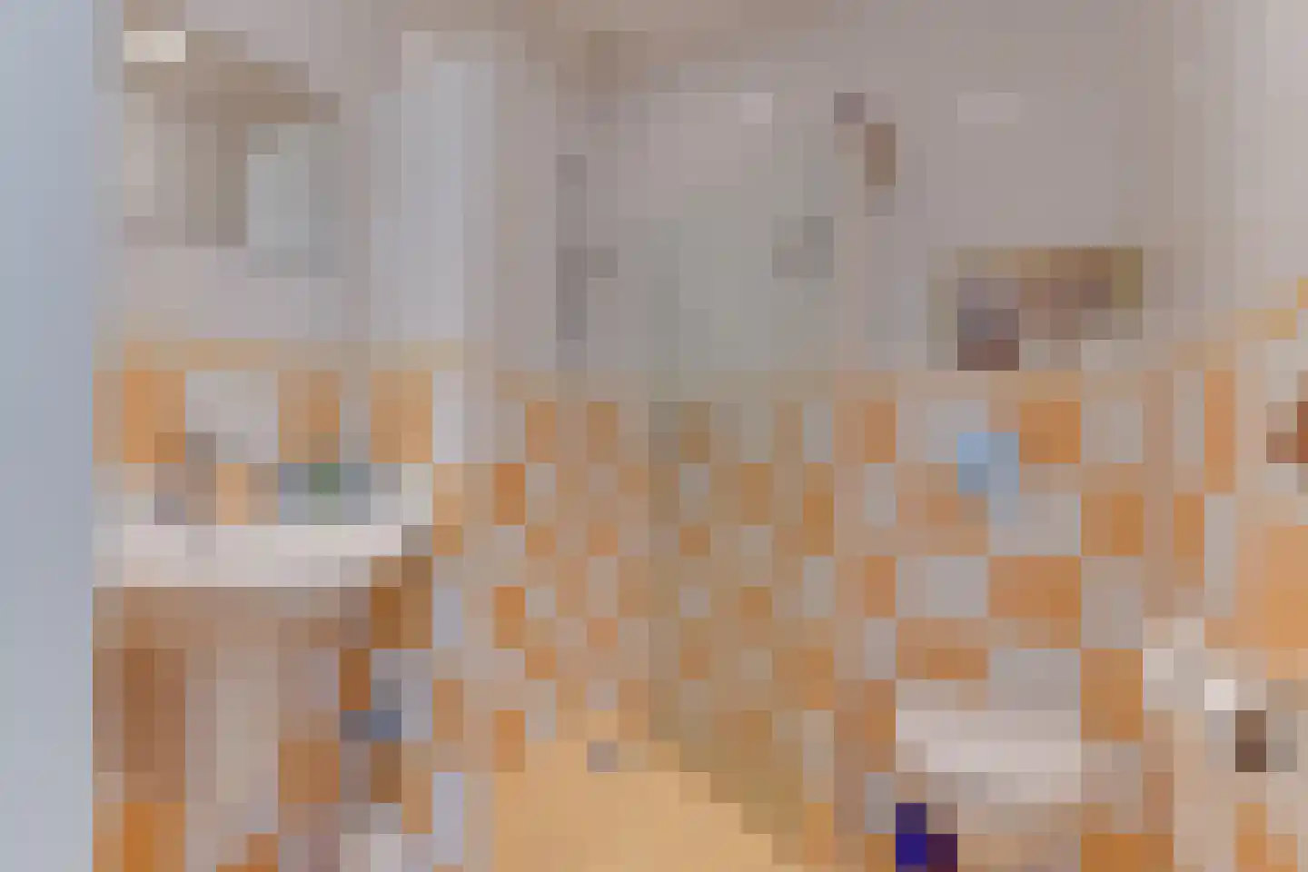 Irenelaan 9 Alkmaar thumbnail 25