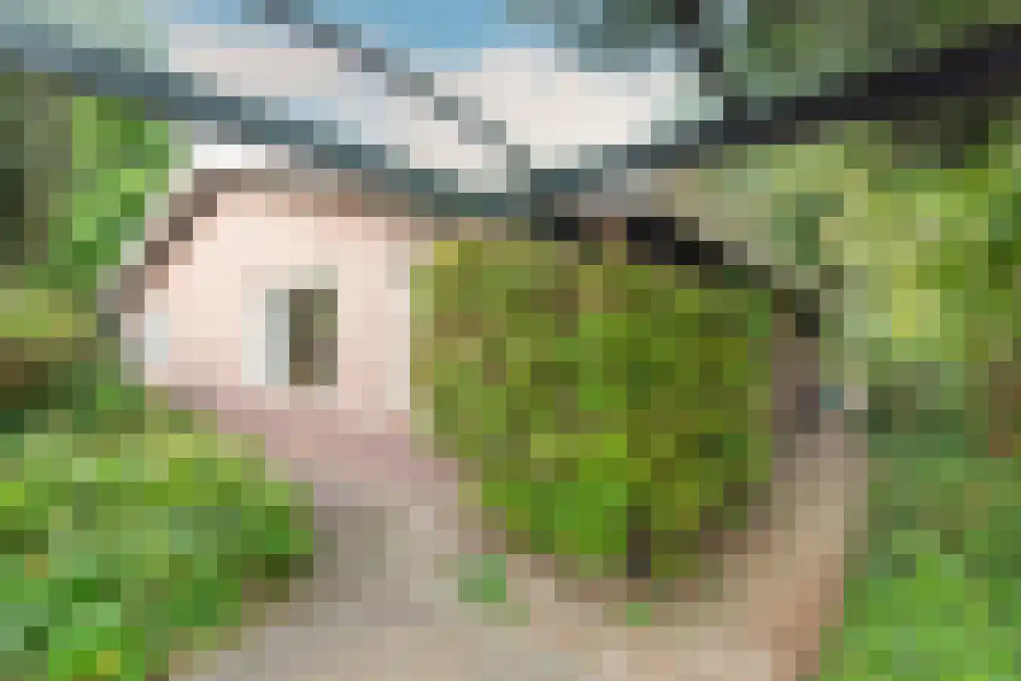 Irenelaan 9 Alkmaar thumbnail 28