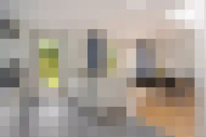 Irenelaan 9 Oss thumbnail 10