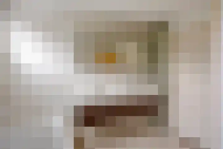 Irenelaan 9 Oss thumbnail 25