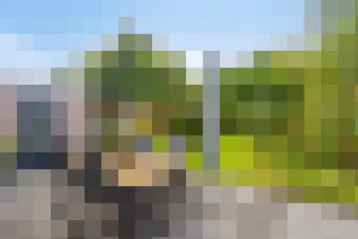 Irenelaan 9 Oss thumbnail 36