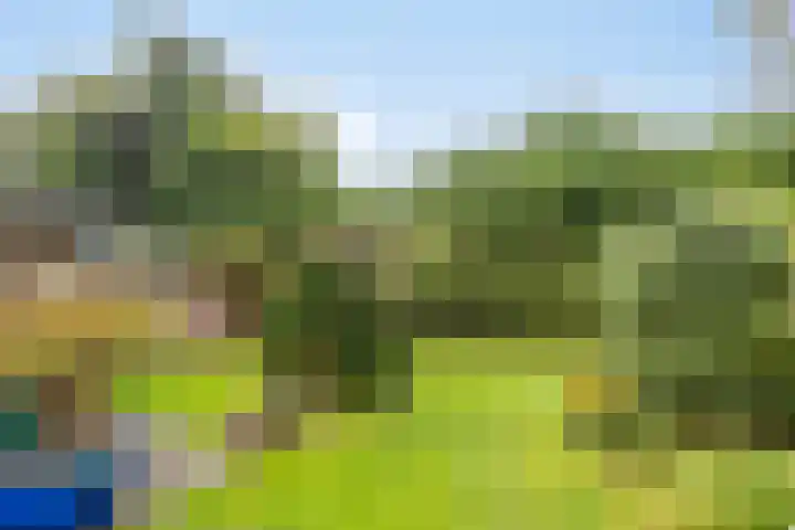 Irenelaan 9 Oss thumbnail 37