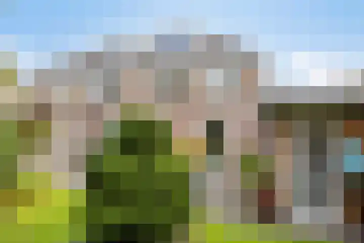Irenelaan 9 Oss thumbnail 39