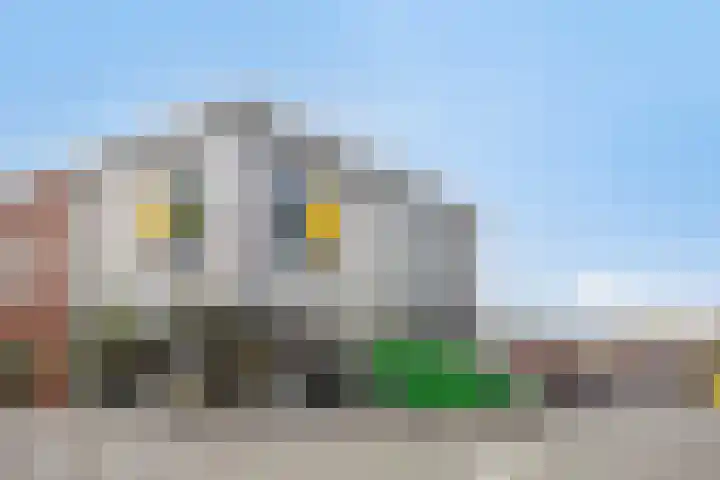 Irenelaan 9 Oss thumbnail 41