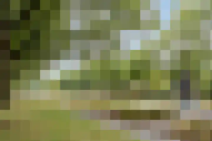 Irenelaan 9 Oss thumbnail 42