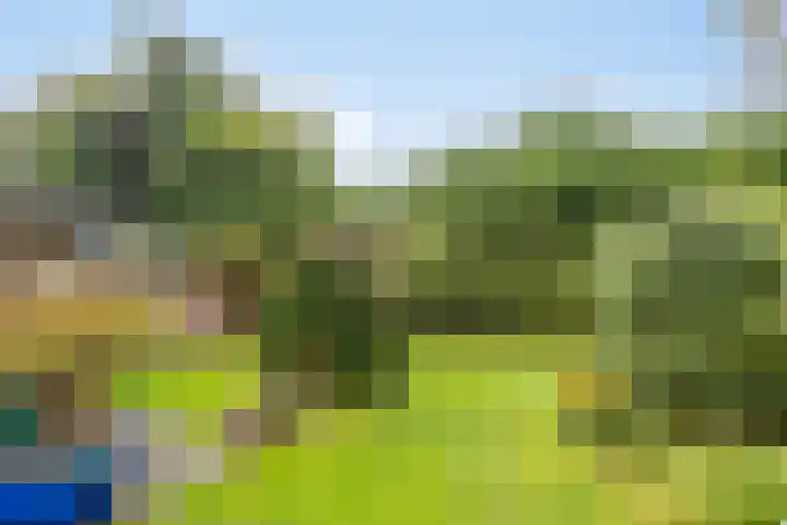 Irenelaan 9 Oss thumbnail 6