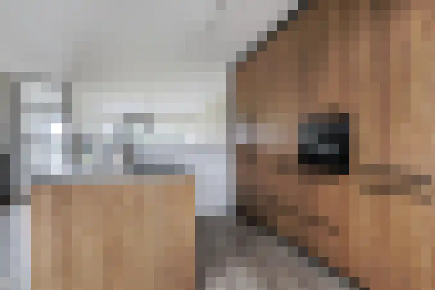 Irenepad 5 Hoevelaken thumbnail 20