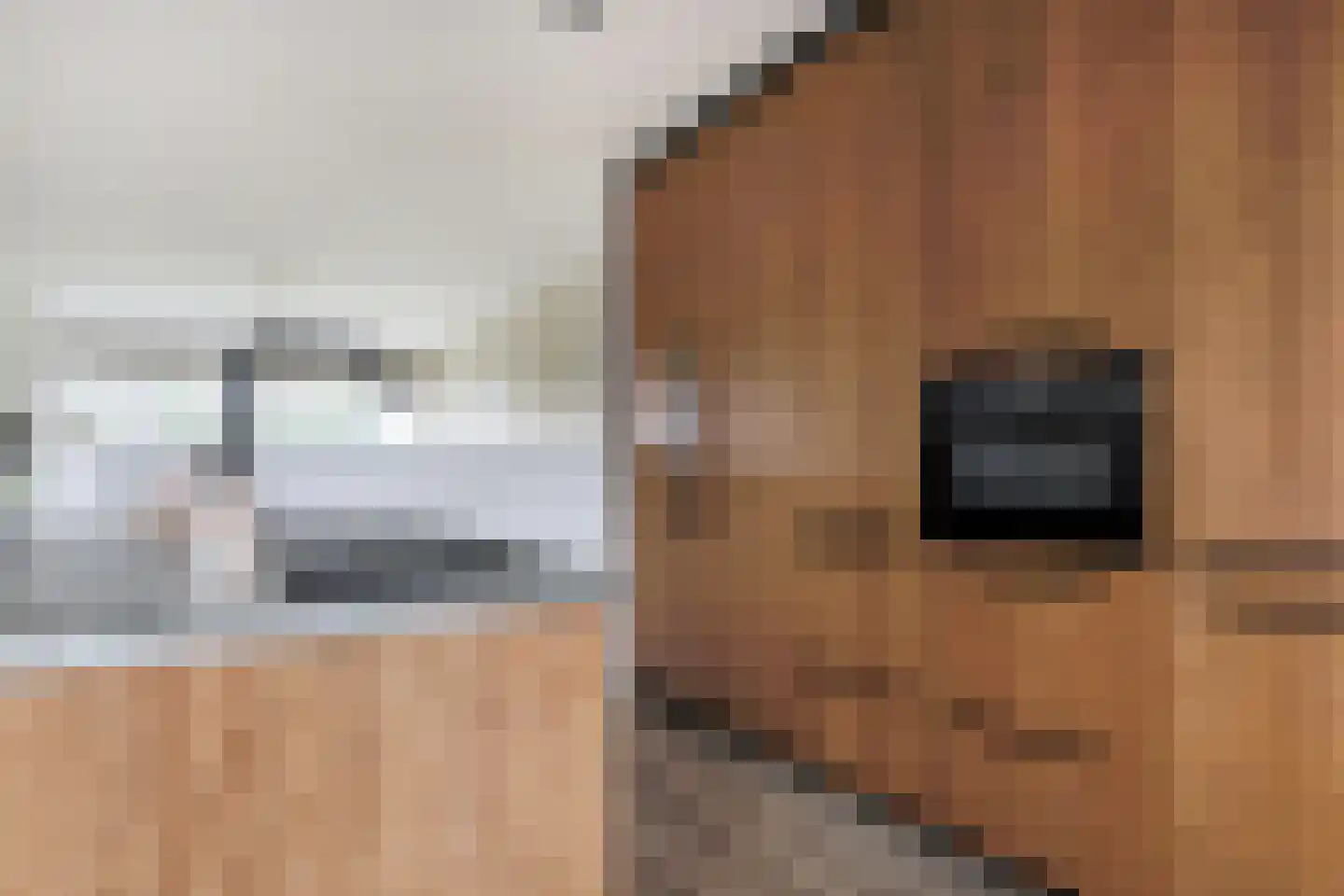 Irenepad 5 Hoevelaken thumbnail 25
