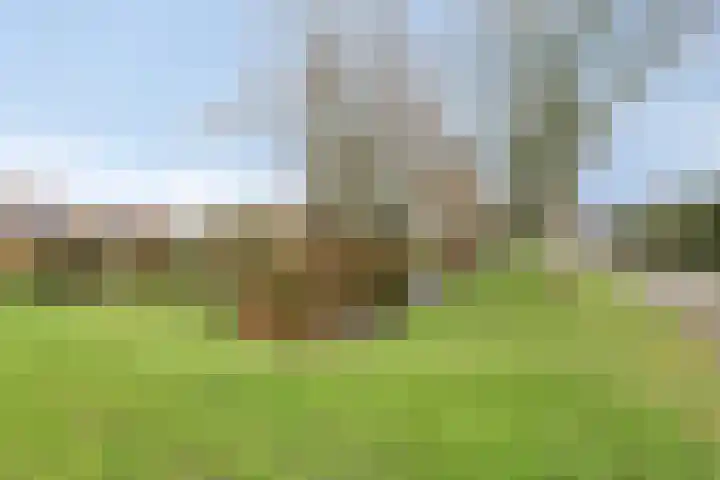Ireneplaats 108 Hellevoetsluis thumbnail 33
