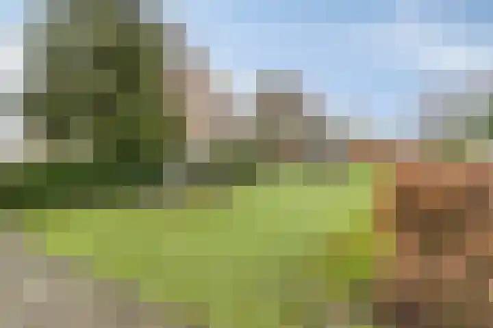 Ireneplaats 108 Hellevoetsluis thumbnail 36
