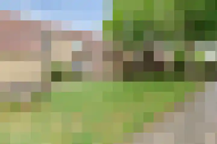 Ireneplaats 62 Hellevoetsluis thumbnail 4
