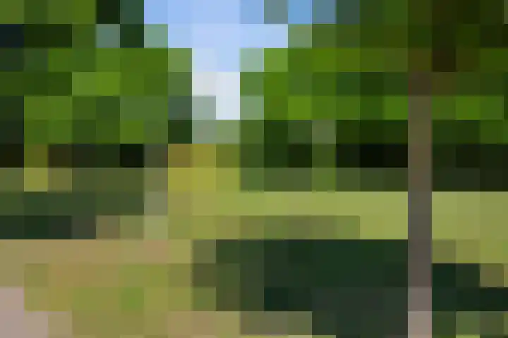 Ireneplaats 96 Hellevoetsluis thumbnail 26