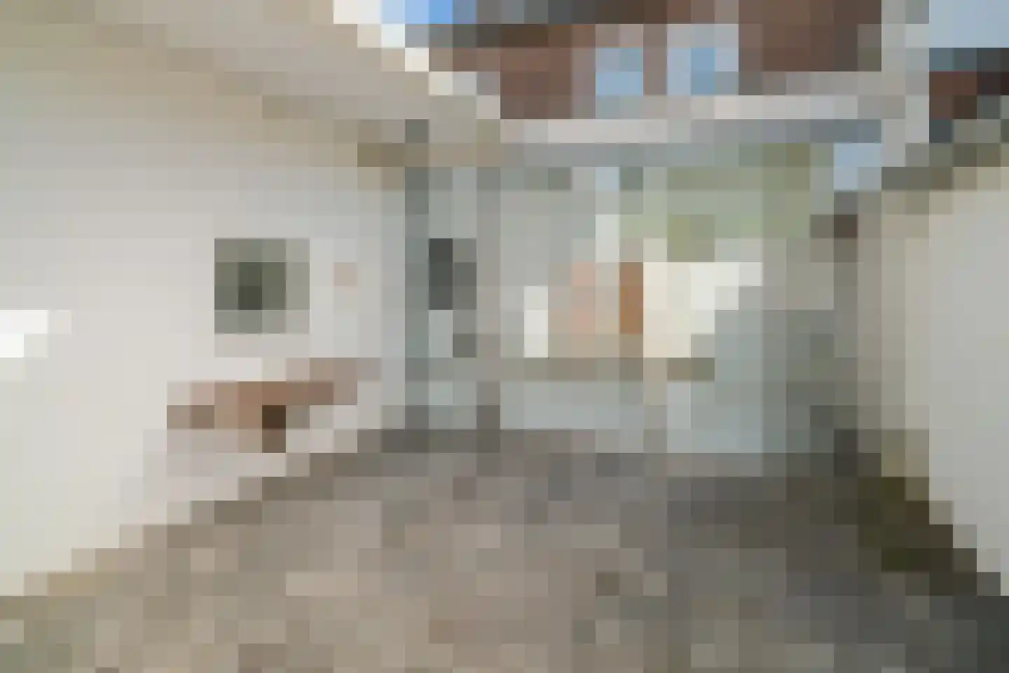 Ireneplein 2 a Roosendaal thumbnail 30
