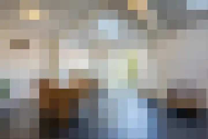 Ireneplein 23 Nieuwleusen thumbnail 10