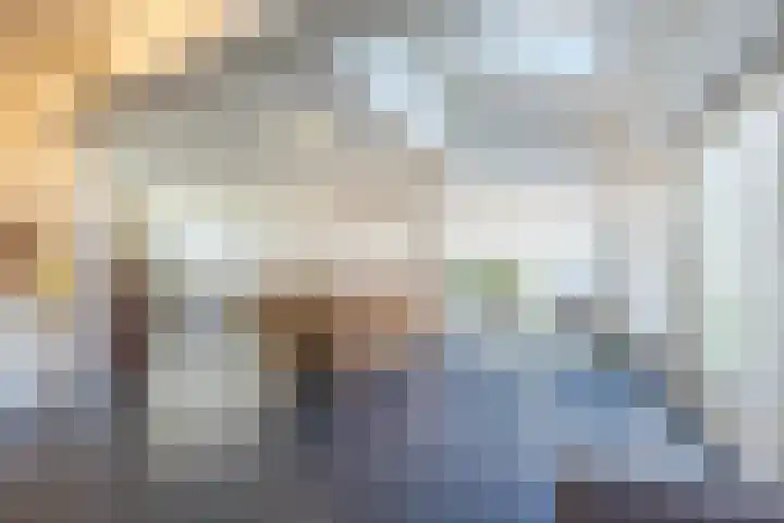 Ireneplein 23 Nieuwleusen thumbnail 11
