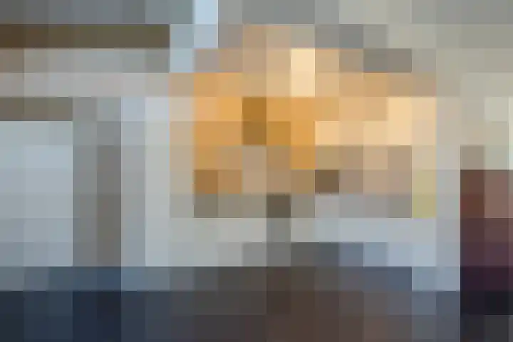 Ireneplein 23 Nieuwleusen thumbnail 13