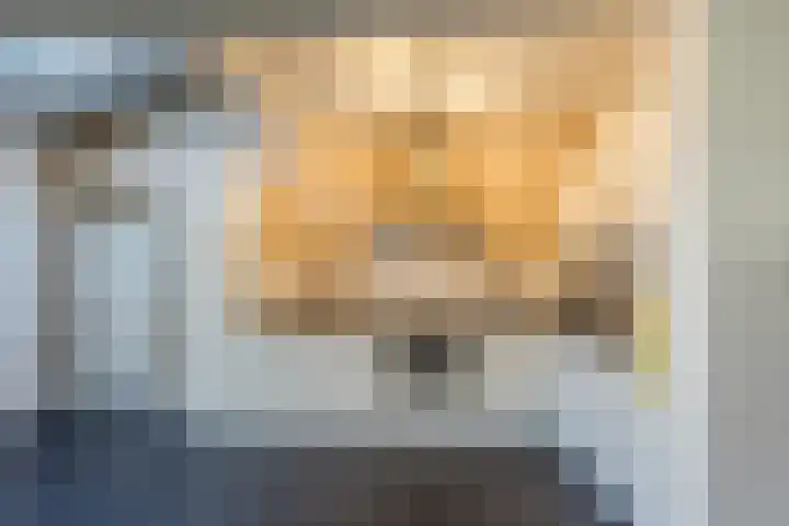 Ireneplein 23 Nieuwleusen thumbnail 14