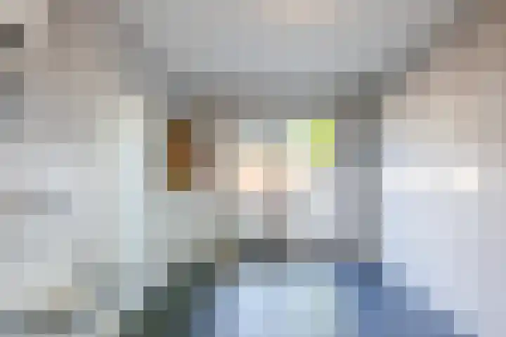 Ireneplein 23 Nieuwleusen thumbnail 15
