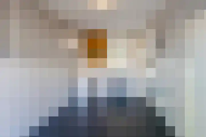 Ireneplein 23 Nieuwleusen thumbnail 16