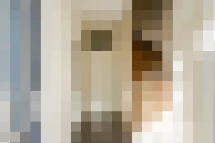 Ireneplein 23 Nieuwleusen thumbnail 17