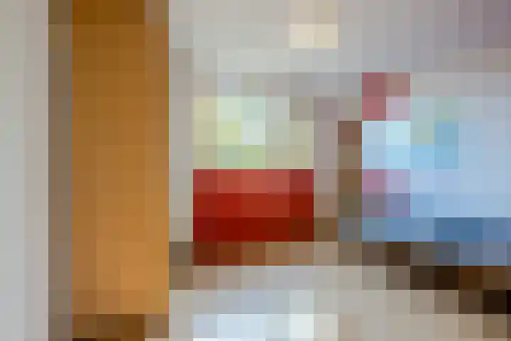 Ireneplein 23 Nieuwleusen thumbnail 20