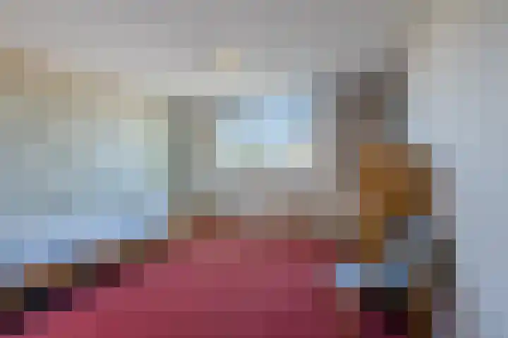 Ireneplein 23 Nieuwleusen thumbnail 25