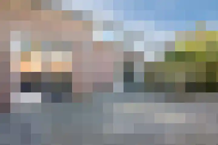 Ireneplein 23 Nieuwleusen thumbnail 35