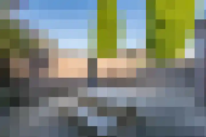 Ireneplein 23 Nieuwleusen thumbnail 37