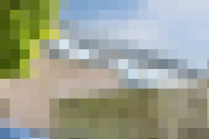 Ireneplein 23 Nieuwleusen thumbnail 44