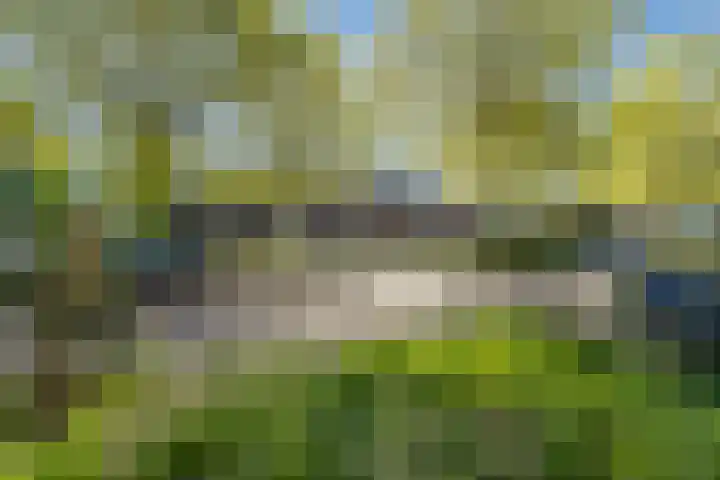 Ireneplein 23 Nieuwleusen thumbnail 47