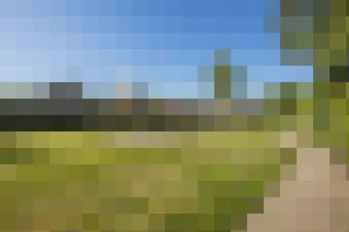 Ireneplein 23 Nieuwleusen thumbnail 48