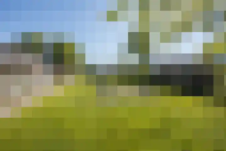 Ireneplein 23 Nieuwleusen thumbnail 49