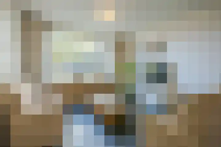 Ireneplein 23 Nieuwleusen thumbnail 6