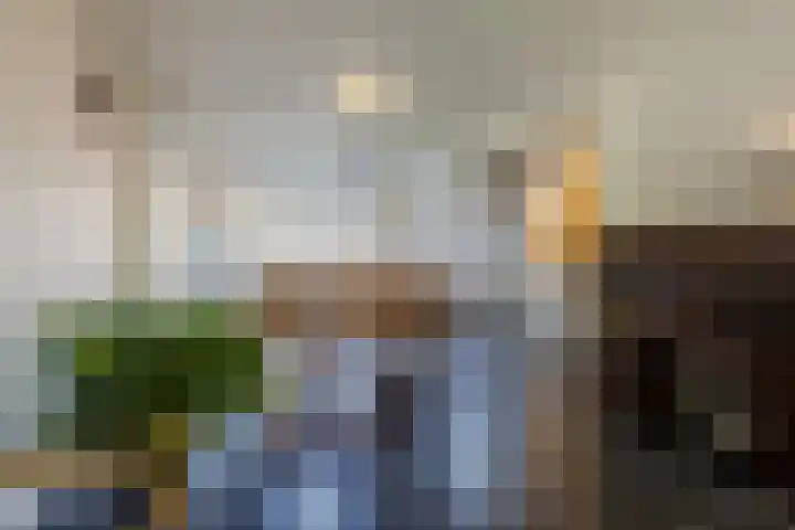 Ireneplein 23 Nieuwleusen thumbnail 9