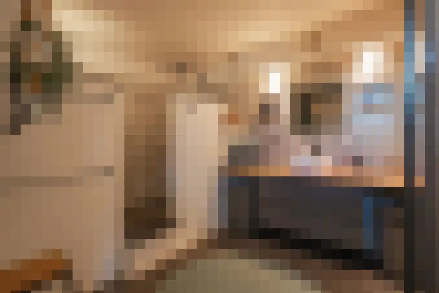 Ireneplein 6 Urmond thumbnail 15