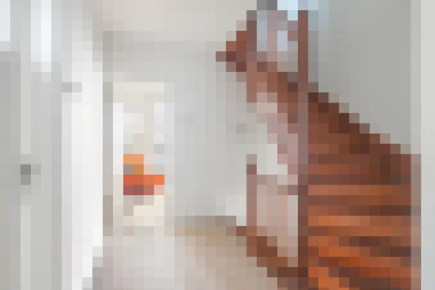 Ireneplein 6 Urmond thumbnail 26