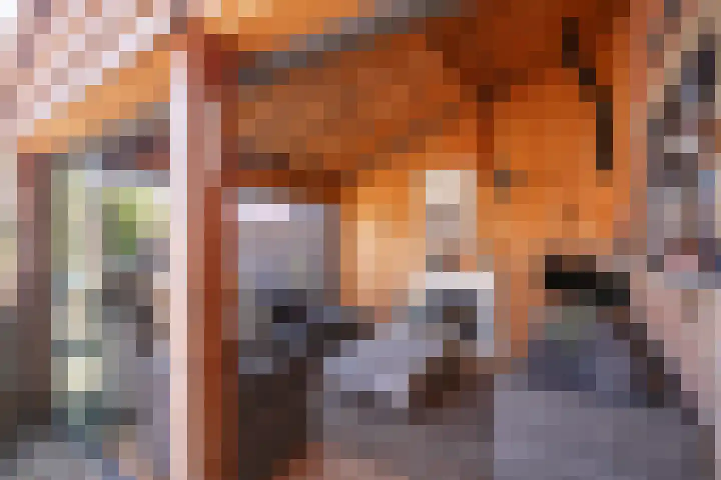 Ireneplein 6 Urmond thumbnail 35
