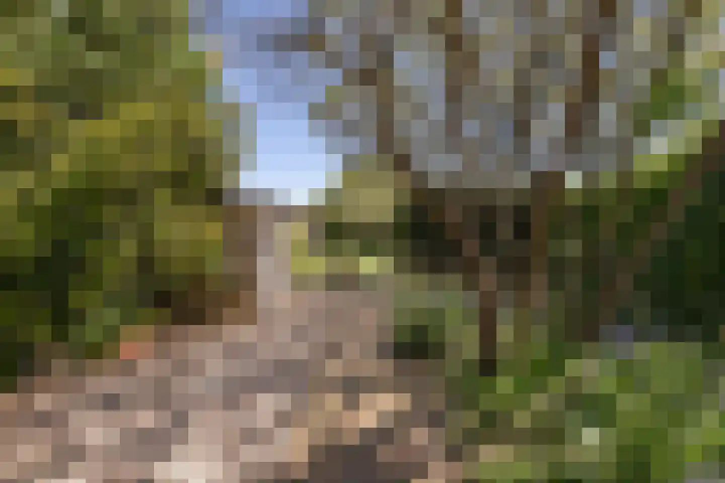 Ireneplein 6 Urmond thumbnail 40