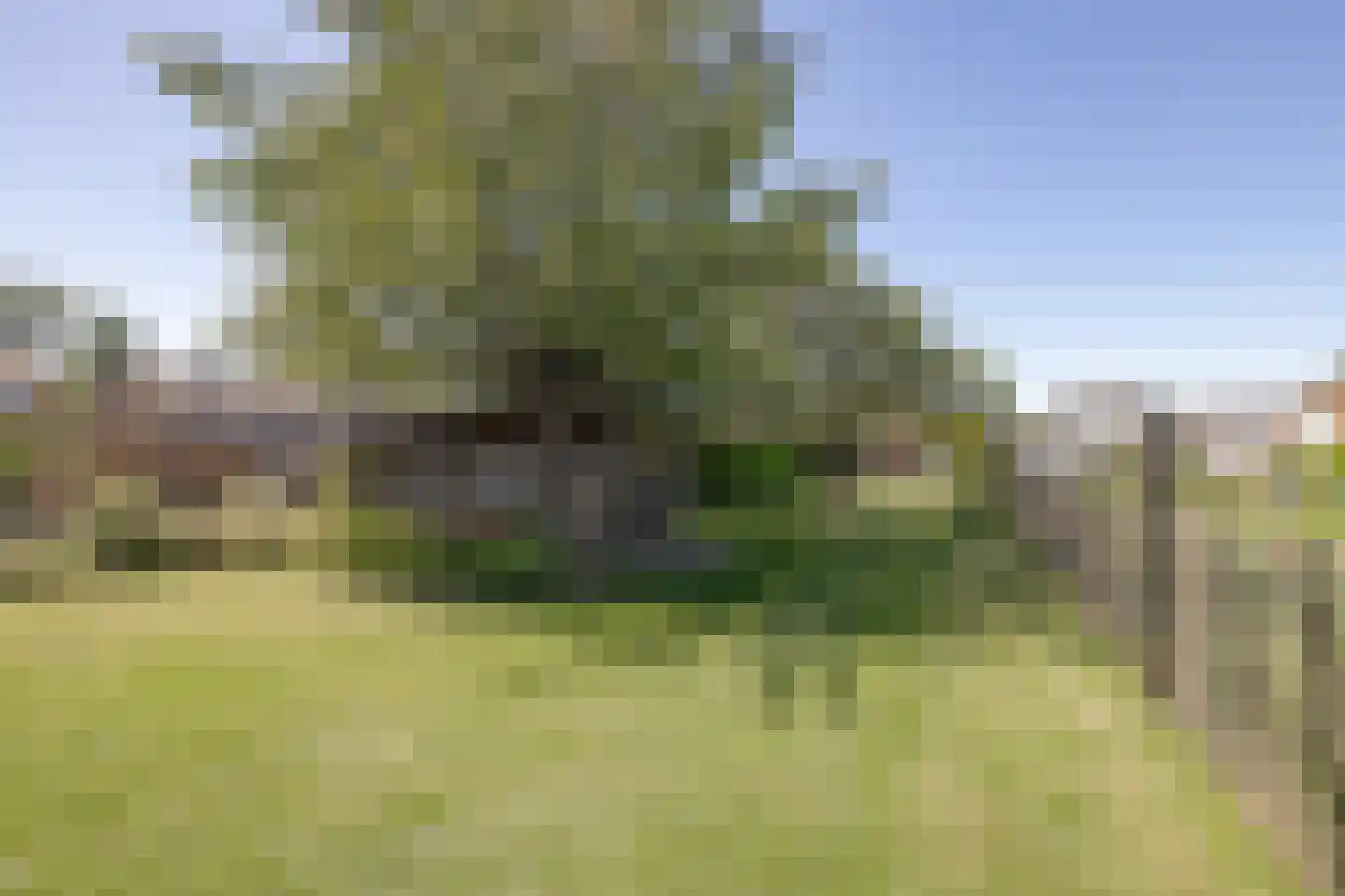 Ireneplein 6 Urmond thumbnail 42