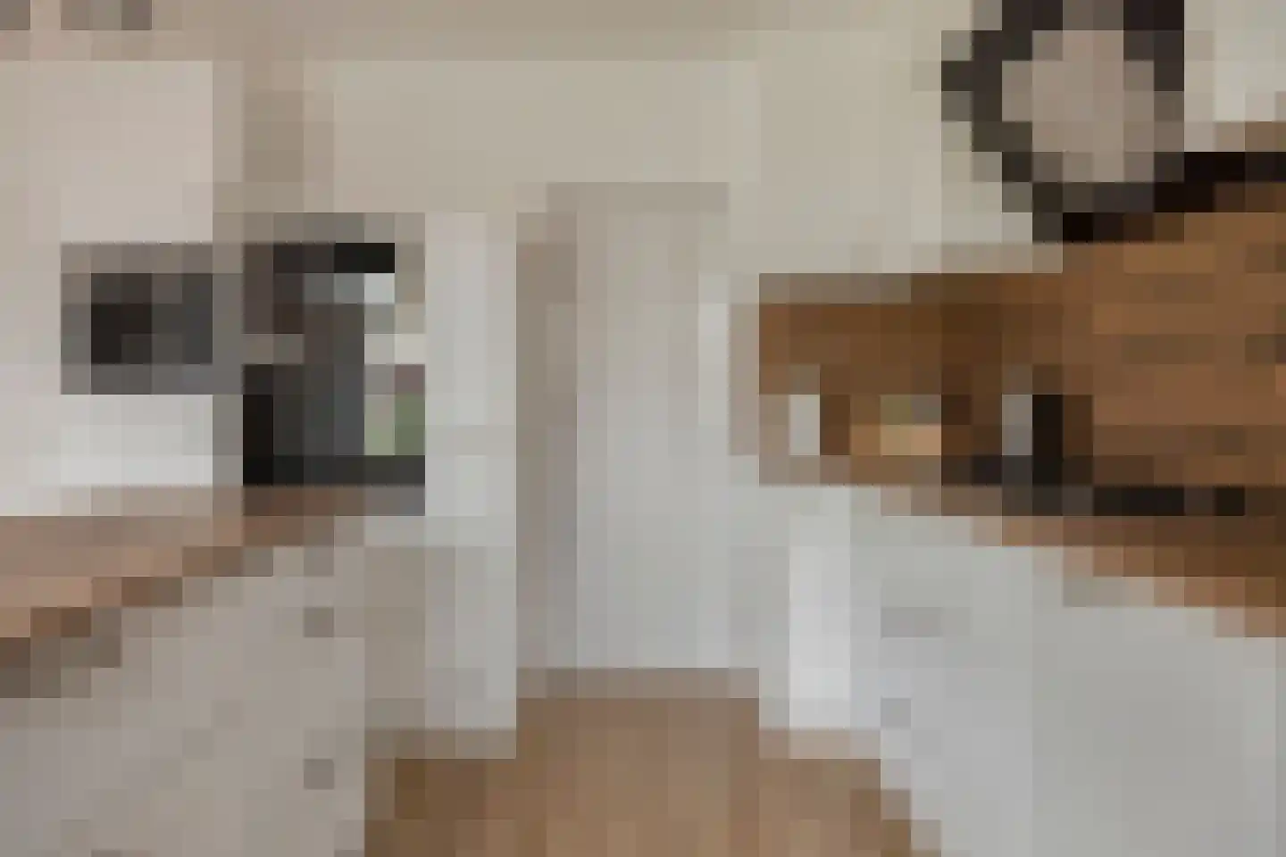 Irenestraat 1 Meerlo thumbnail 13