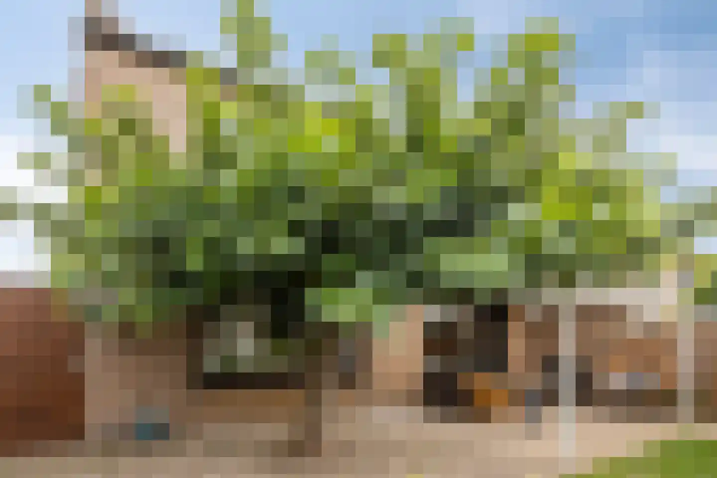 Irenestraat 1 Meerlo thumbnail 26