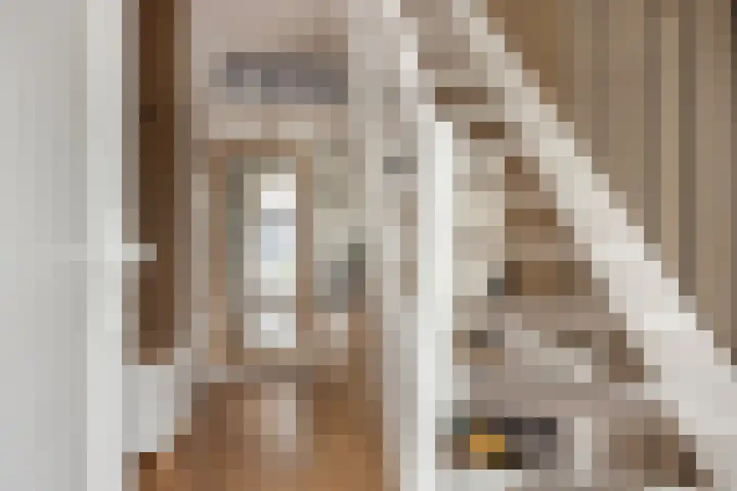 Irenestraat 1 Meerlo thumbnail 5