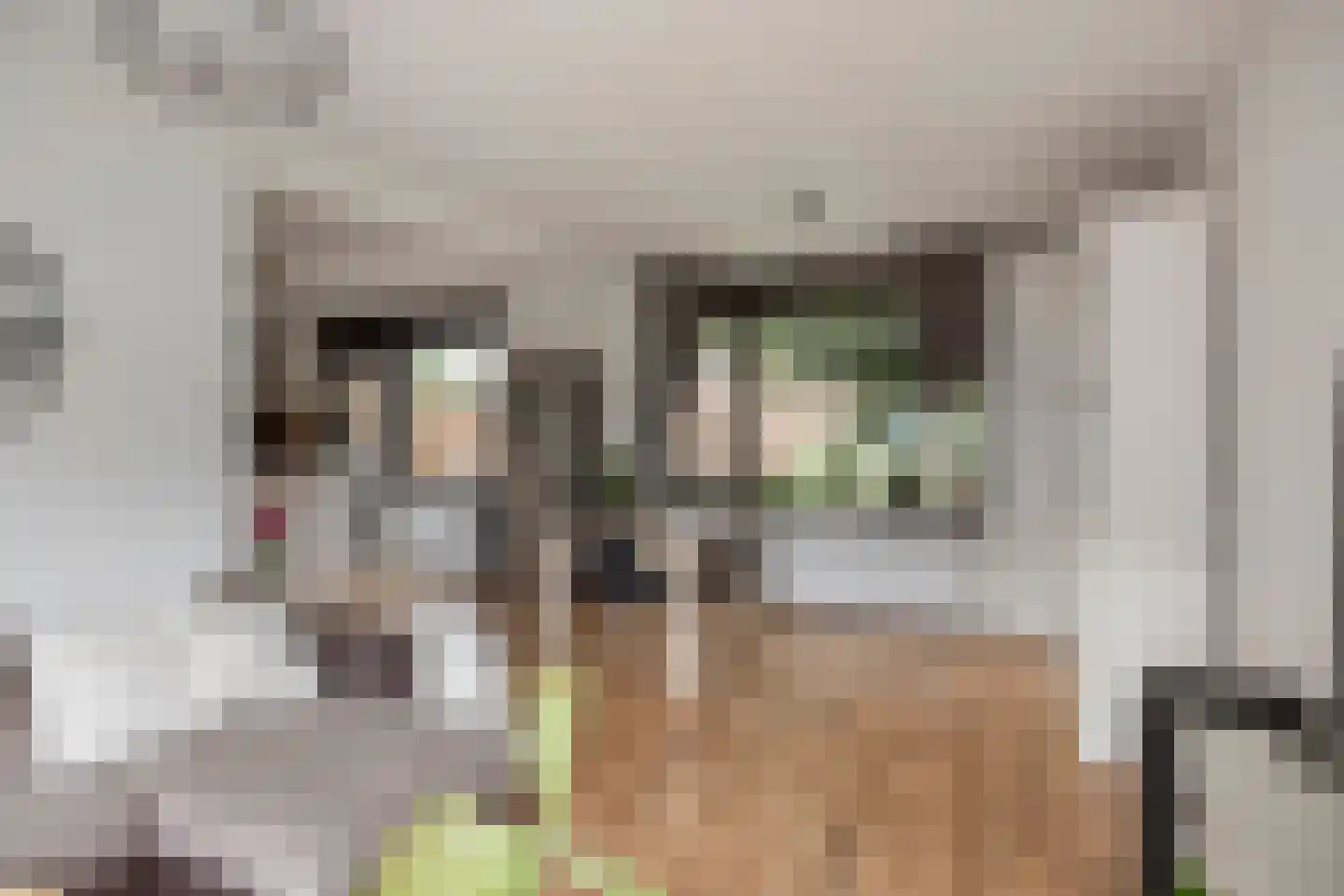 Irenestraat 1 Meerlo thumbnail 7